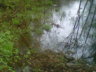 Your Spring Storm Photos