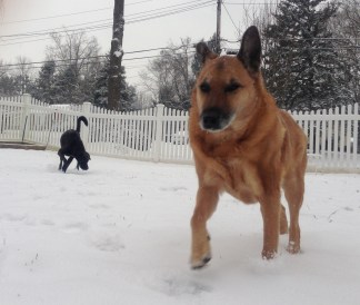 Tri-State Snow Photos