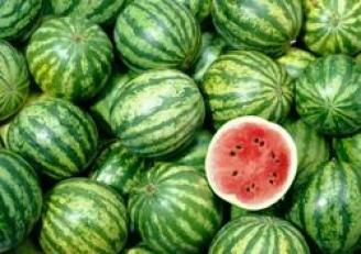 Making Biofuel Out of Watermelon Rejects