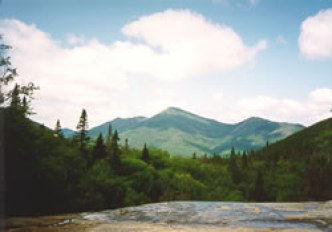 New York State Travel on the Road to Recovery