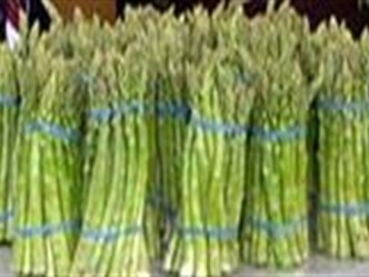 All About Asparagus