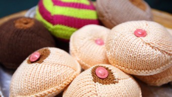 Women Help Cancer Patients With "Bosom Buddies"