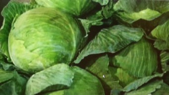 Produce Pete: Cabbage