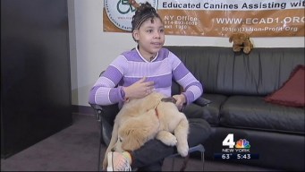 Wednesday's Child 5/1: Armonie
