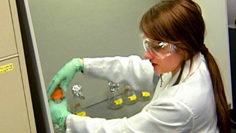 Whiz Kid Brews Biofuels