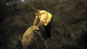 Craigslist Daytona Beach Florida >> Video | NBC New York Craigslist Daytona Beach Florida >> Video | NBC New York