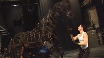 The Magic of the War Horse