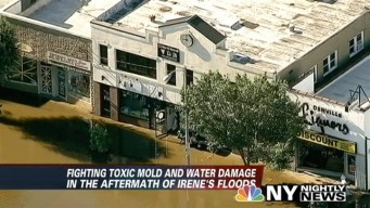 Watch Out for Mold After Irene