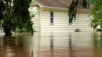 Beware Mold Growth After Irene Floods