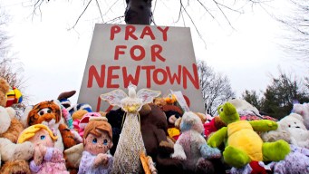 Newtown Budget With Extra School Security Rejected