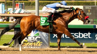 Preakness Stakes: 10 Things to Know