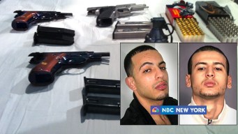 NYC Synagogue Bomb Plot Suspect Pleads Guilty