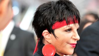 Liza Minnelli to Appear on "Smash"