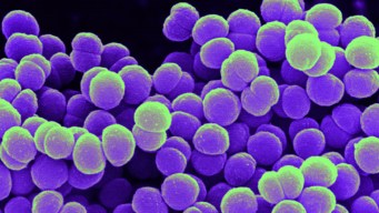 Patients Warned over Drugs Linked to Deadly Meningitis