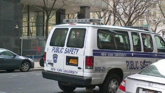 NYU Student Had 5 Air Rifles in Dorm Room: Police