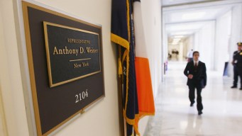 Possible Contenders Surface for Weiner's Seat