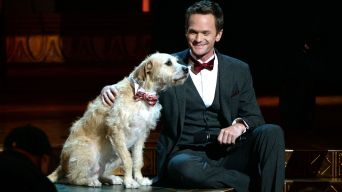 Neil Patrick Harris Signs On for "Hedwig"