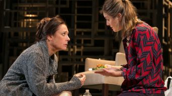 Review: Laurie Metcalf in "The Other Place"