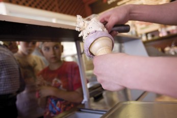Bully Mr. Softie Vendors Threaten Gourmet Ice Cream Truck