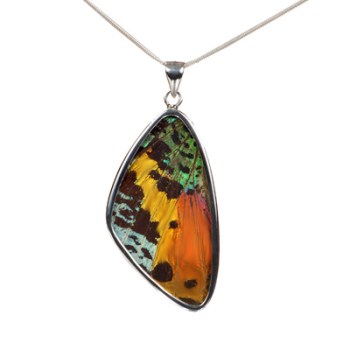Evolution Butterfly-Wing Pendant