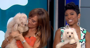New York Live Pet Project: Hailie and Mama