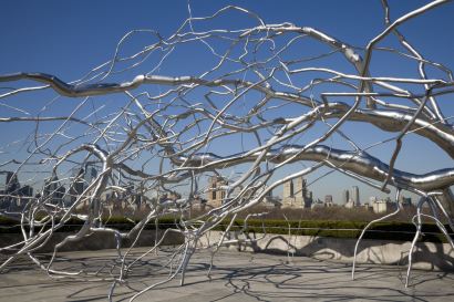 Roxy Paine's "Maelstrom" will be installed in the Met Museum's roof garden until October 25, 2009. Roxy Paine's "Maelstrom" will be installed in the Met Museum's roof garden until October 25, 2009.