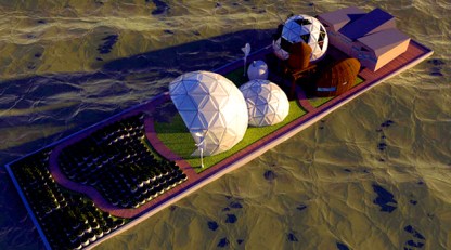 A Pod Grows In Brooklyn
