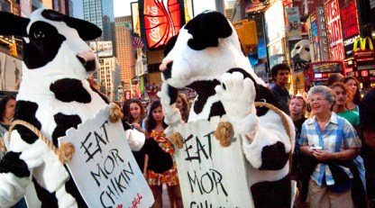Free Chicken... If You Dress Like a Cow