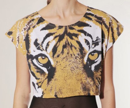 Shakuhachi Tiger Top
