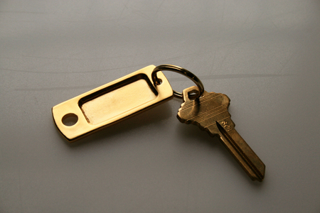 Various Projects Key Ring