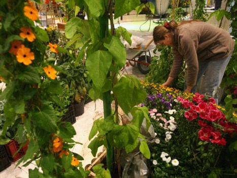 Gardening Burns More Than 300 Calories an Hour