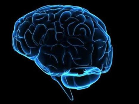 Deep Brain Stimulation: Can It Zap Mental Illness?