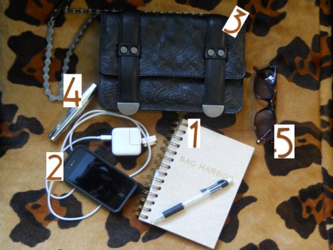 Purse Purge: Nicole Miller Keeps it Simple With a Cross-Body Bike Bag