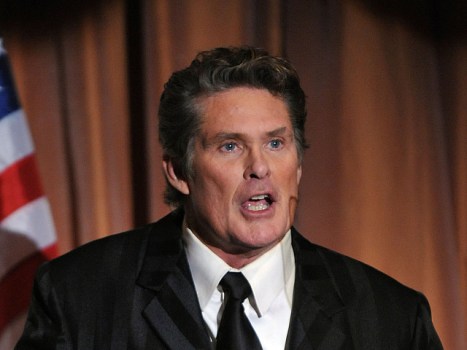 SNAPPER!  The Hoff Comes Back To Daytime