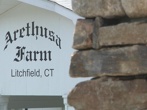 http://media.nbcbayarea.com/images/cowfarm_640x480.jpg