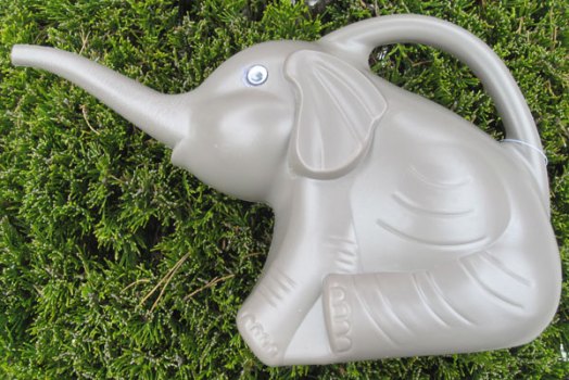 Elephant Watering Can
