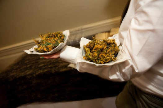 Kale Heats Up NYC Restaurant Menus