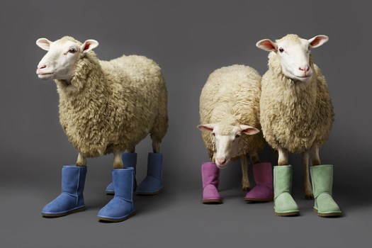 Ugg Sues Emu Over Trademark; Emu Fires Back