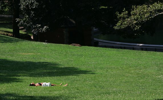 In Central Park, Physical Activity is Overrated