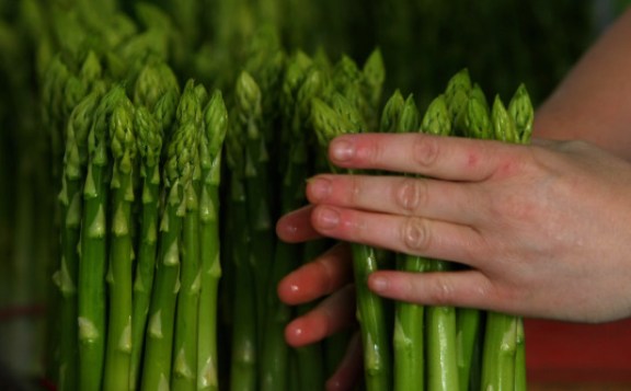 Foods That Battle Bloating