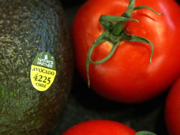 Trying The Raw Foods Diet