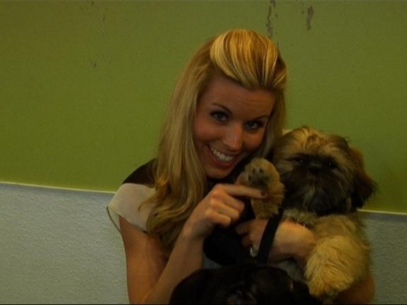 In New York City, nearly 40 animals are euthanized daily because they can't find homes. The mayor's office has declared February I Love NYC Pets Month in an effort to spread the word about pet adoption. Maria headed to eco-friendly holistic pet loft, <a href=