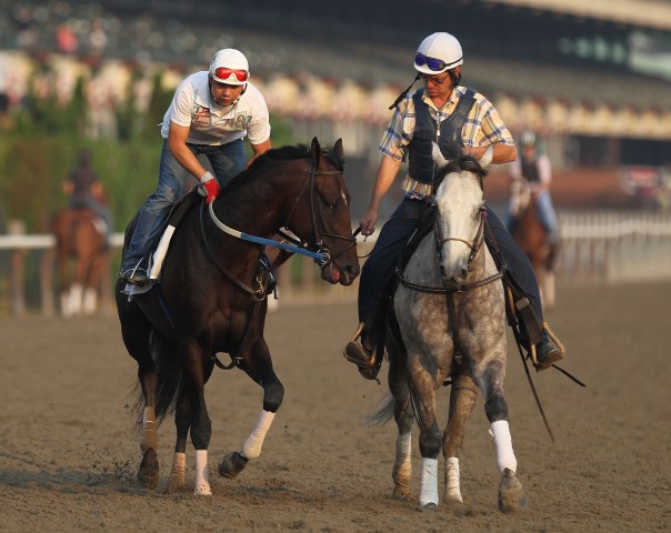 A Look at the Belmont Stakes