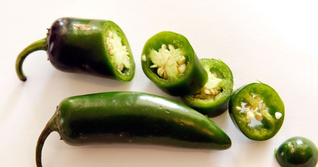Peppers Can Relieve Headaches