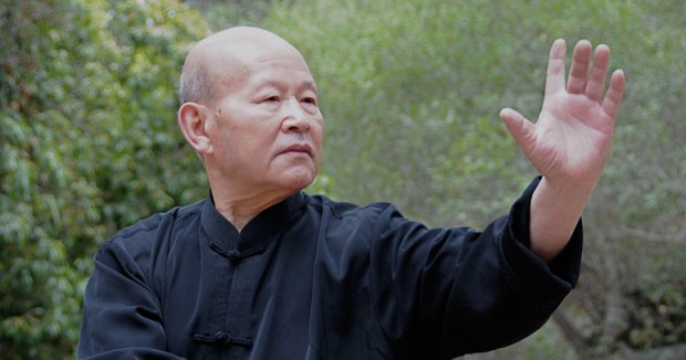 Go Healthy With Qi Gong: Grand Master Zhou