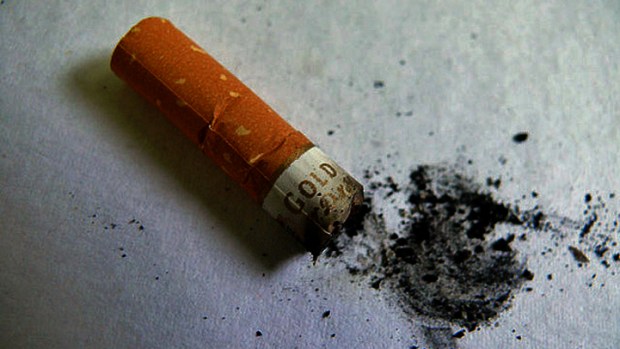 So Far, New Cigarette Labels Appear Effective