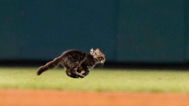 Mets' deGrom hit on right arm in 10-0 rout of Phillies Mets' deGrom hit on right arm in 10-0 rout of Phillies
