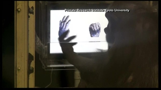 investigate research paper investigate research paper