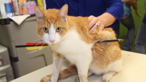 [NATL] Weird News Photos