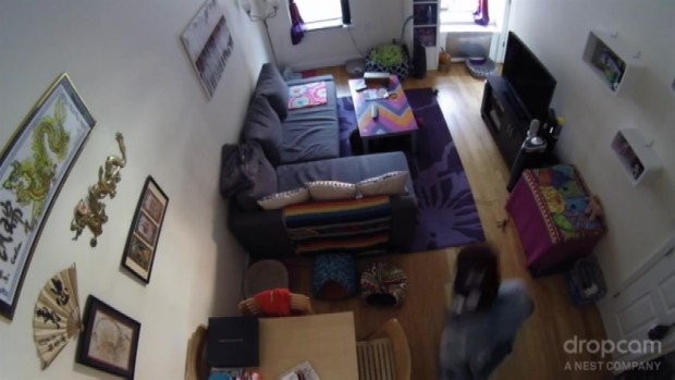 [NY] Cat Cam Captures Hell's Kitchen Apartment Break-in, Robbery
